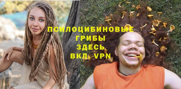 хмурый Михайловск