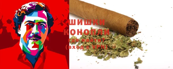 хмурый Михайловск