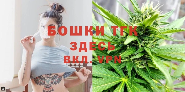хмурый Михайловск