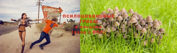 крисы Михайлов