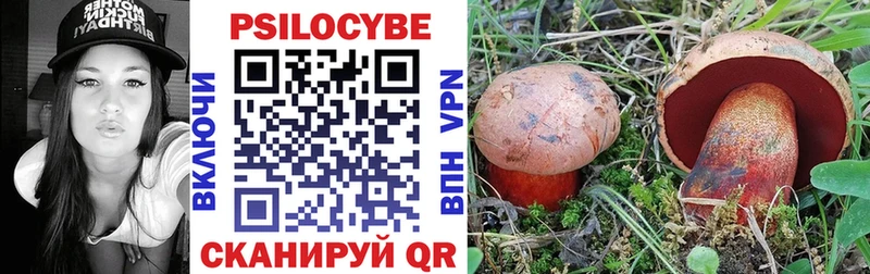 Галлюциногенные грибы Psilocybe  купить наркотики цена  Нахабино 
